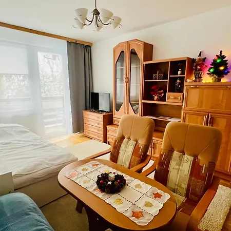 Mieszkanie Babci Danusi W Centrum Zakopanego - Juliusza Zborowskiego 3 Mieszkanie 24 Apartament *
